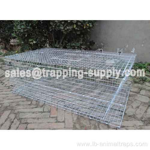 Door Galvanized Pigeon Cage Trap